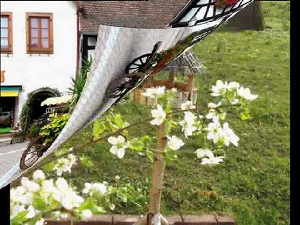 Le temps au temps enfin le printemps