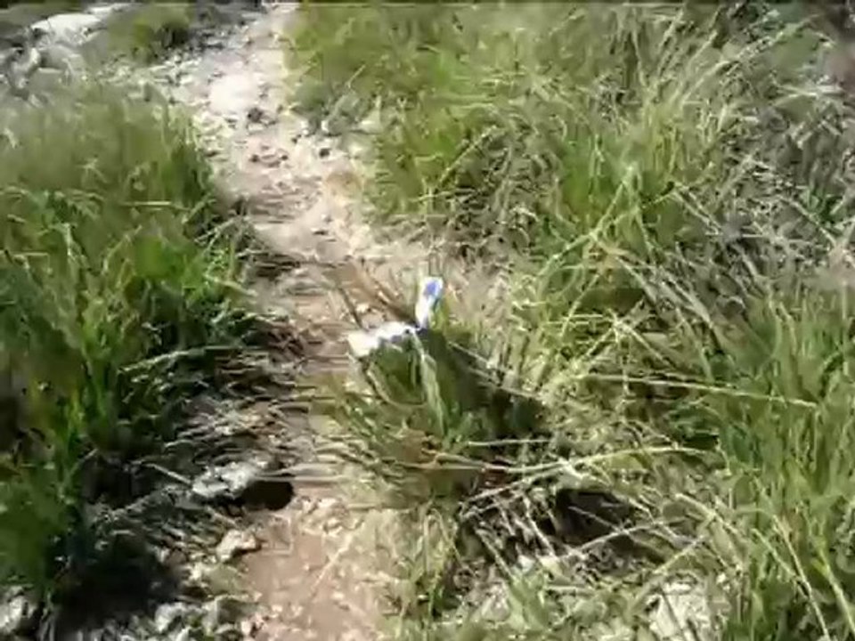 2010-03-28 VIII Cursa des Teix ;-)