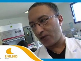 Enil - EnilBio : Coopération internationale