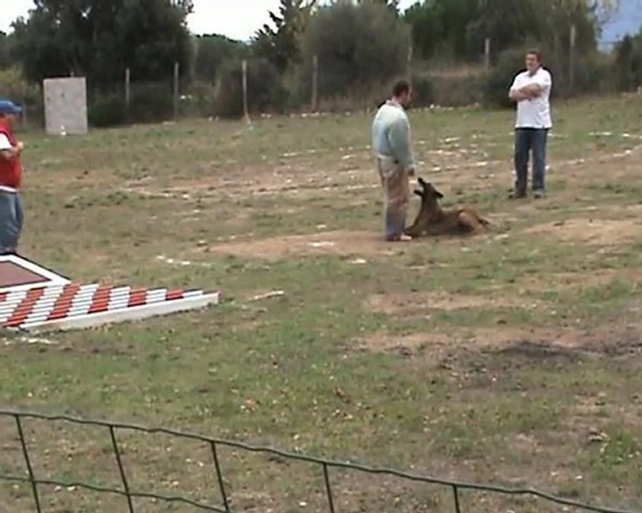 Aux de la Vallée de Luvry Ring 2