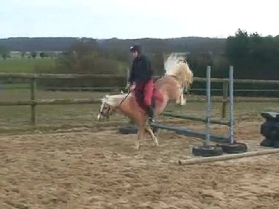 Frisia's Storm King saut monté