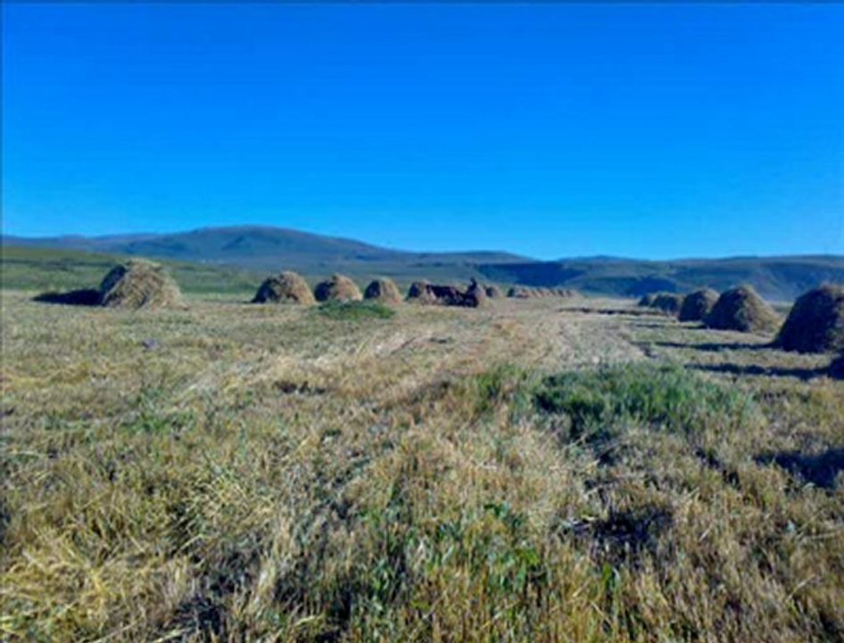 SEVİMLİ KÖYÜ