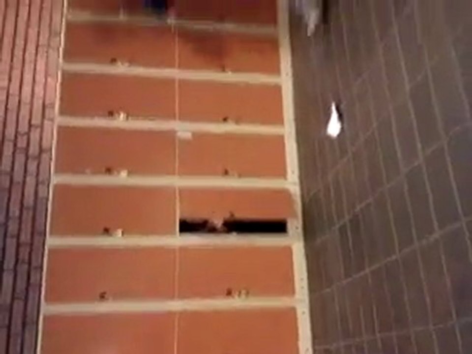 MOV04183