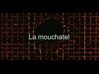 Luc Chatel pris au piège par JM Aphatie