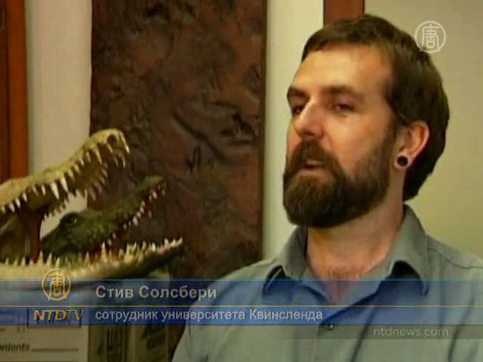 В Австралии нашли тираннозавра