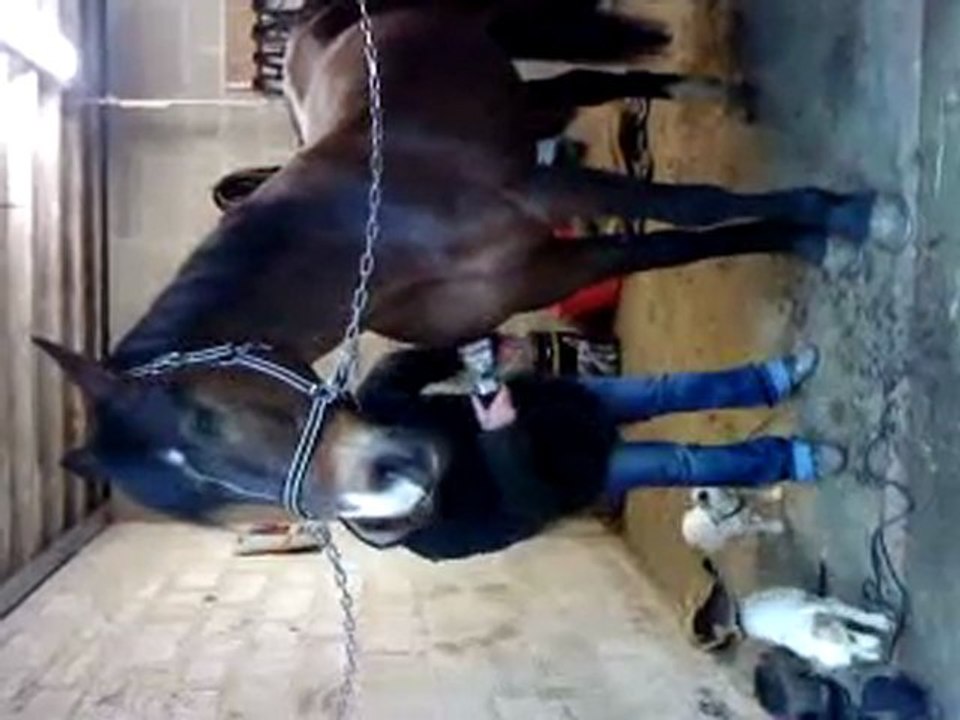 Tonte Hermès- 26/03/10