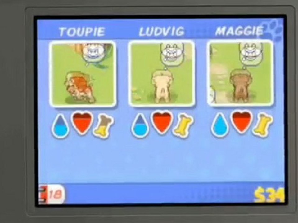 Me & My Dogs Amici per Sempre Nintendo DSi LIVE