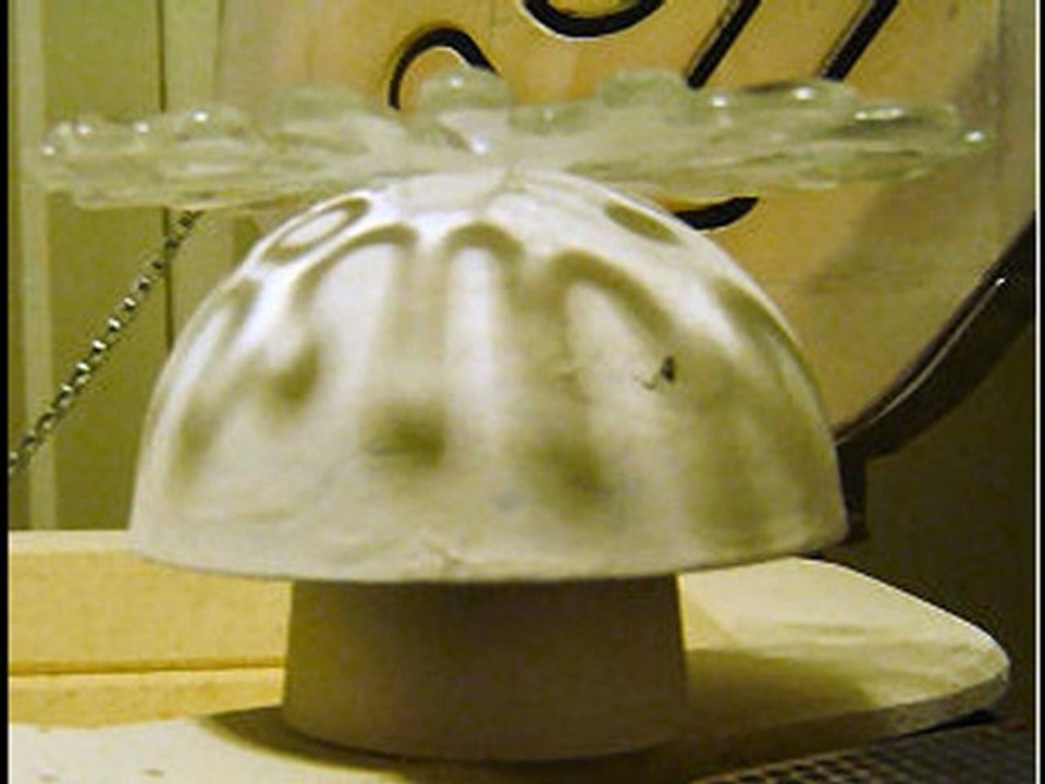 coral bowl