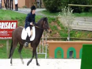 Bounette & Small Star Ice