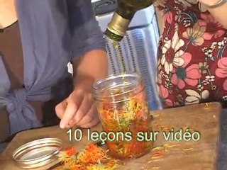 Cours en ligne en français en herboristerie