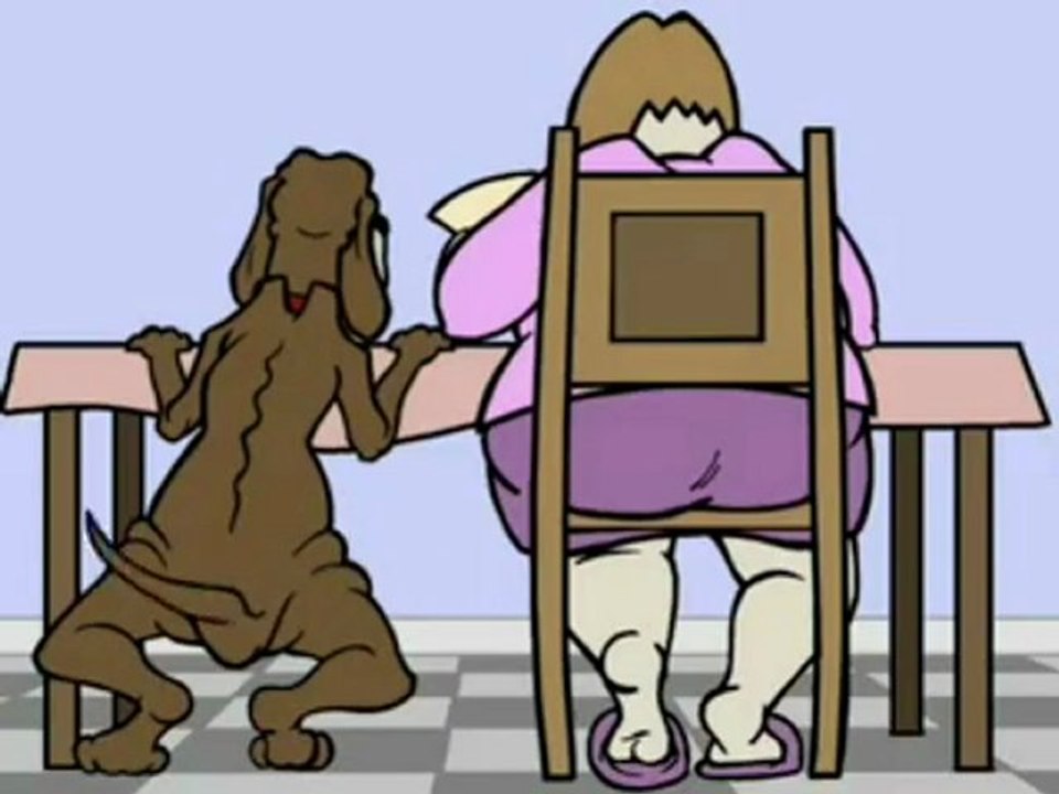 Best Reviewed Diets For 2010  Diet Coke Mentos