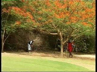le golf de Saly au Sénégal; un golf jardin innondé de soleil