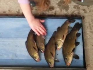 peche kurtis dimanche 3 064