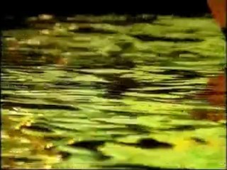 Leyla - Mustafa Demirci