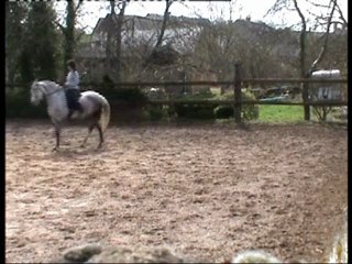 Maltosa 28.03.10 pour YT