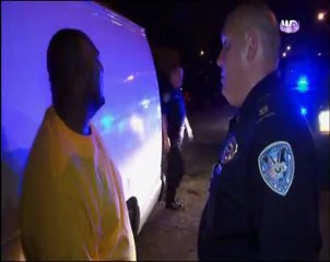 steven seagal : au service de la loi (3)