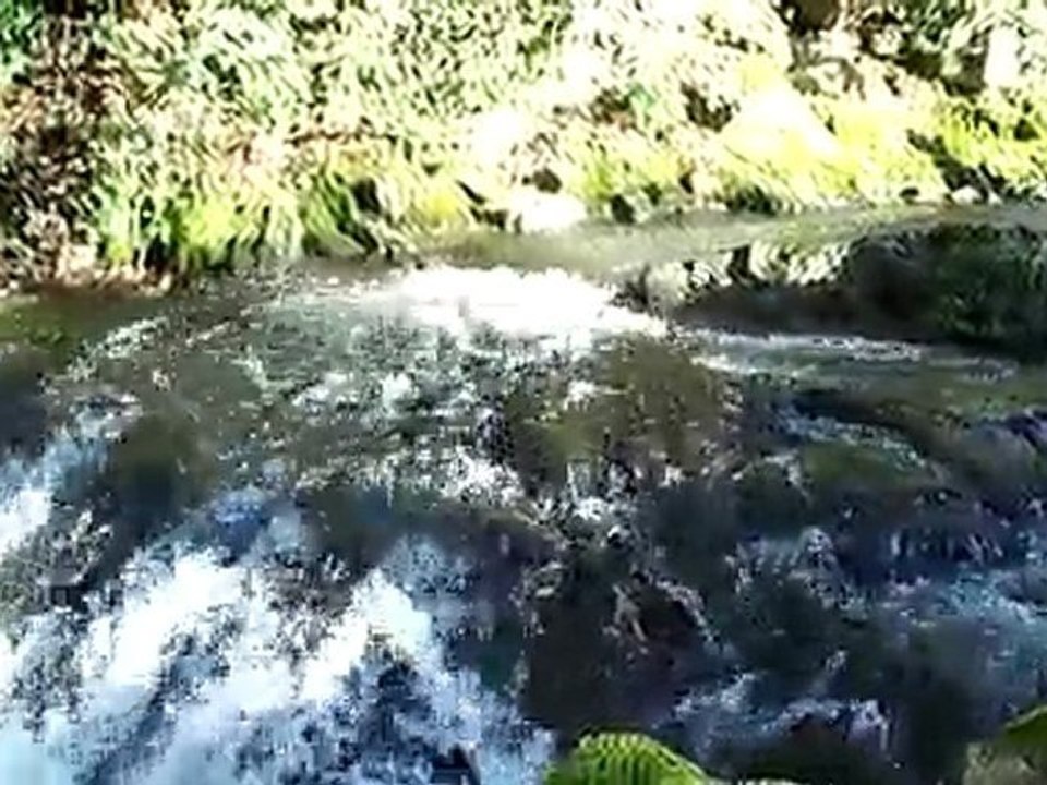 Enfin 2 min de calme  / 2 min of quiet