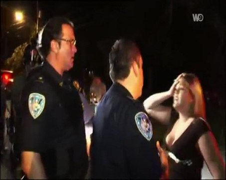 steven seagal : au service de la loi (4)