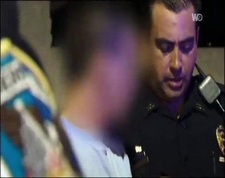 steven seagal : au service de la loi (5 et fin)