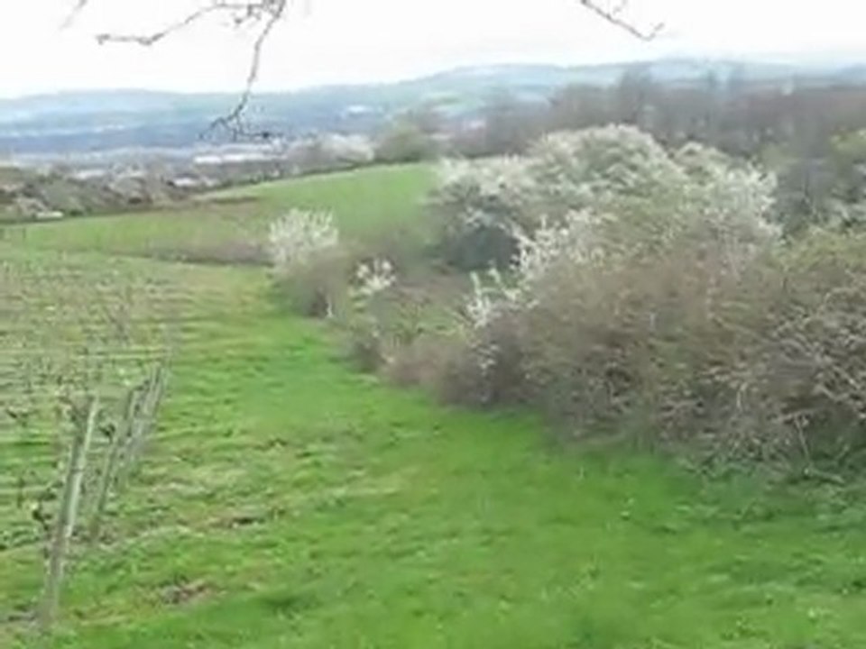 Au pré...