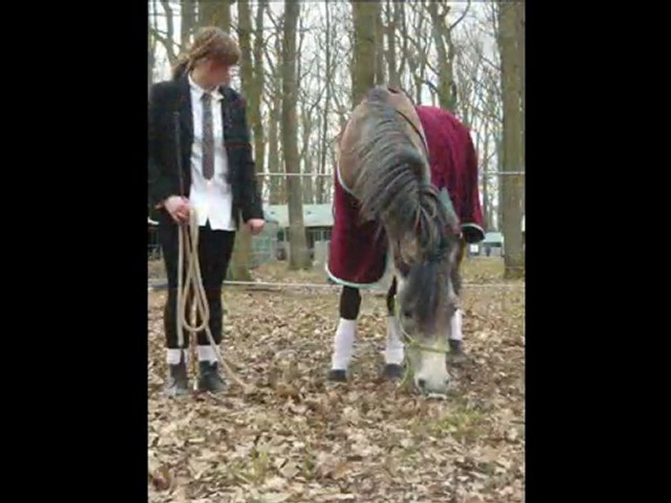 Photos Salon Rambouillet 2010