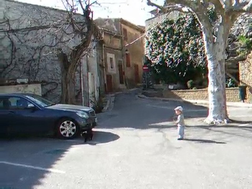 2010 Rio & die Katze