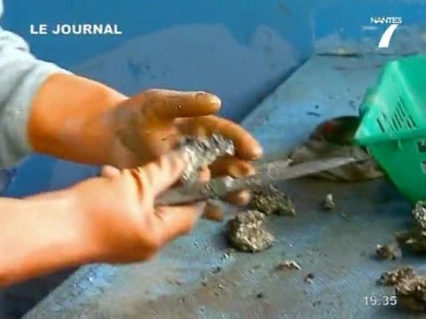 Les séquelles de Xynthia (Loire Atlantique)