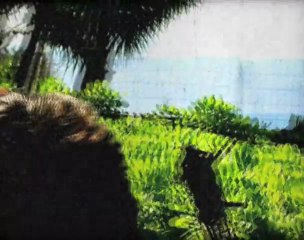 SUPER COOL HAWAII, MAN