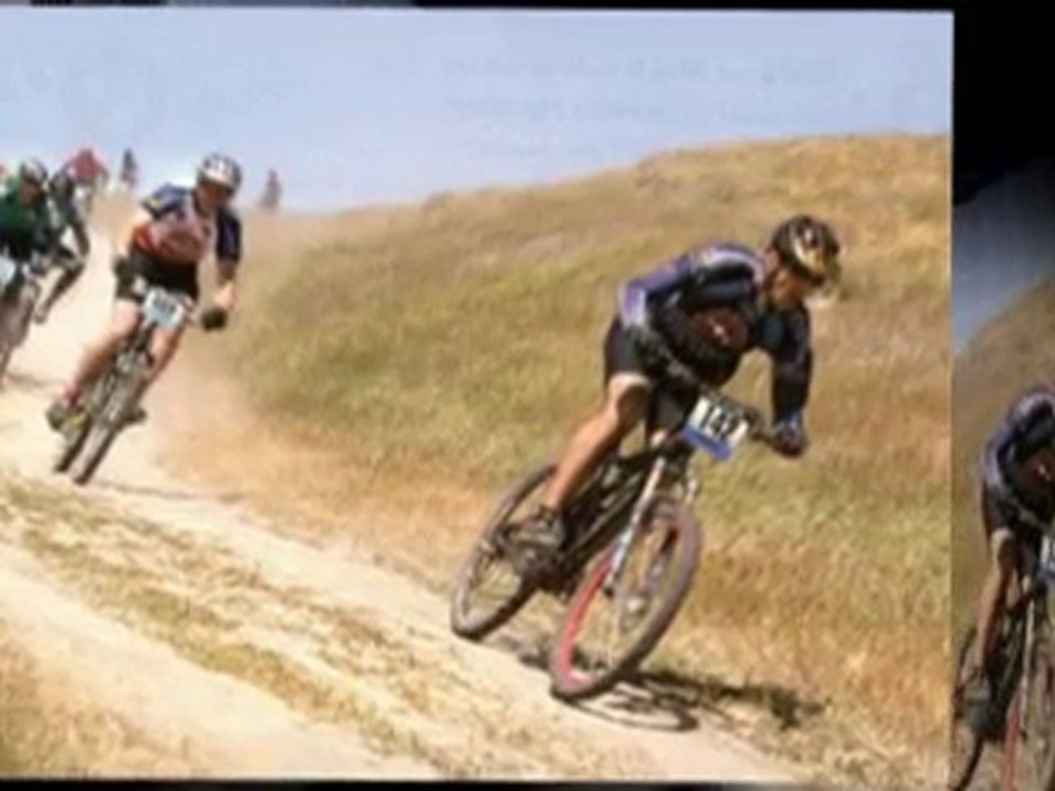 Bicycle Store in Sydney