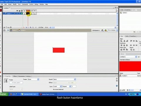 Adobe Flash CS3 Programında button yapımı
