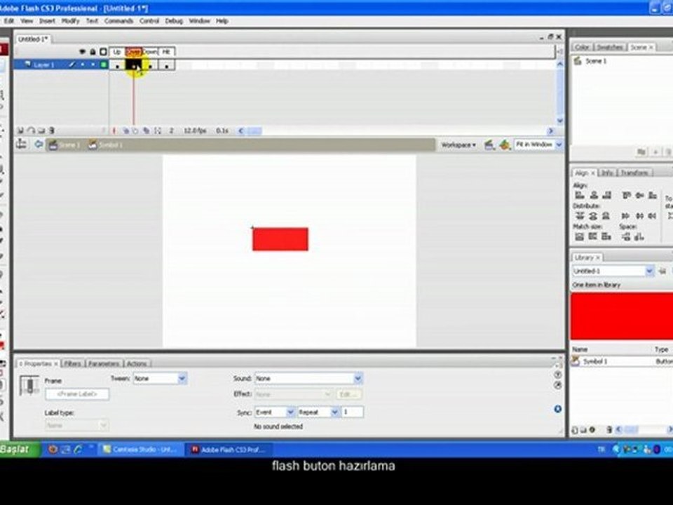 Adobe Flash CS3 Programında button yapımı