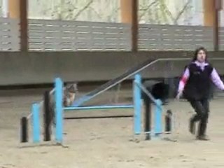 2010_03_28 concours Annecy Douchka bis