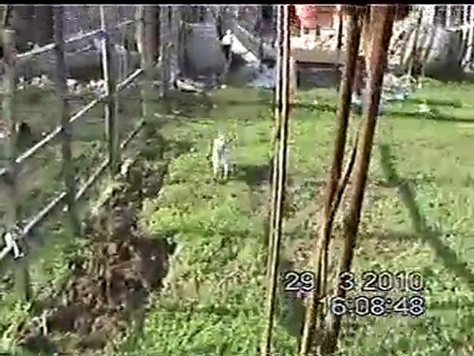 1-30.03.2010