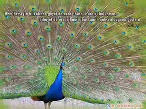 hasan dursun canmedinem.net dermana geldım video izle