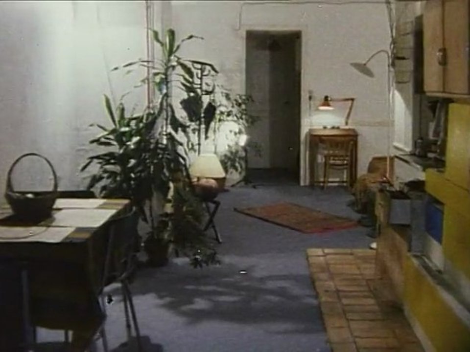 La forêt tropicale