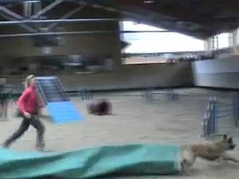 2010_03_28 concours Annecy agility équipe CGEC