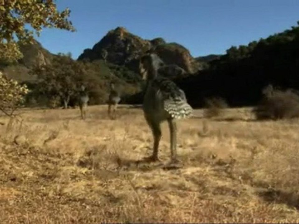 predateurs de la préhistoire oiseau de terreur 2