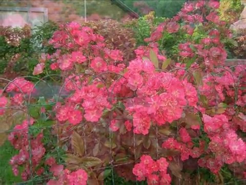 Diaporama de l'année 2009 - 17ème partie