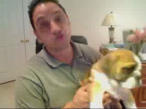 Garage Door Repair Morris County NJ,Chester