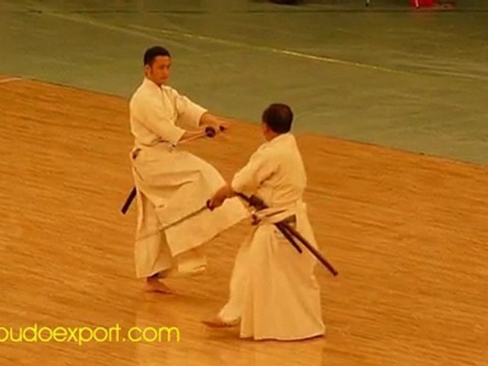 Kashima Shinden Jiki Shinkage Ryu