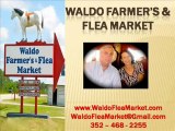 Large Flea Markets In St. Augustine Florida, High Springs F