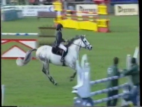 Fricotin étalon poney connemara au CSIP de fontainebleau