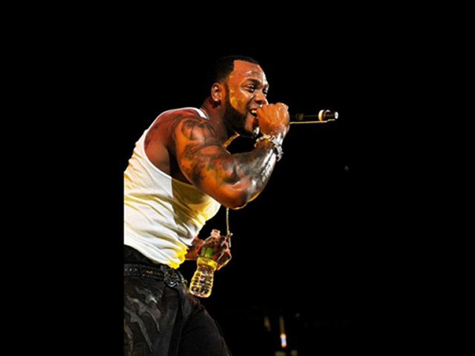 Flo Rida ft. T-Pain - Zoosk Girl