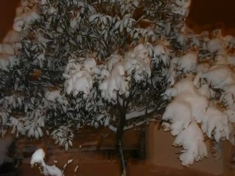 Carcassonne sous la neige