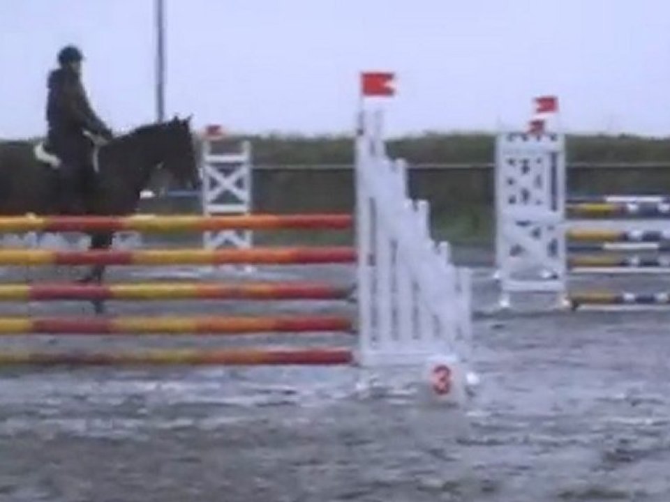 Paelle de Banalou - Jument 7ans (Dollar du Murier x Tanael)