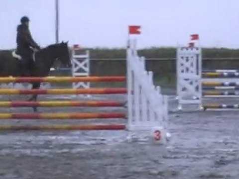 Paelle de Banalou - Jument 7ans (Dollar du Murier x Tanael)