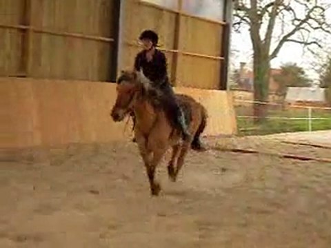 Mylie saut pilou manège