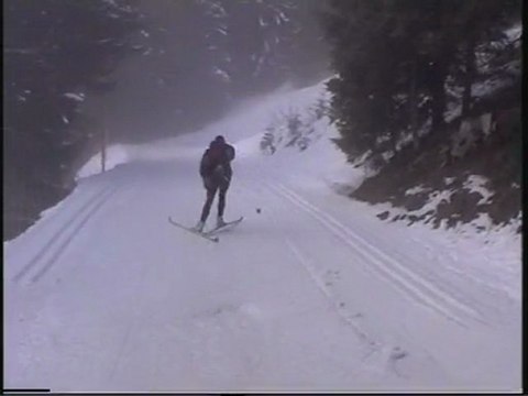 Seb Skating et Ski Alpin