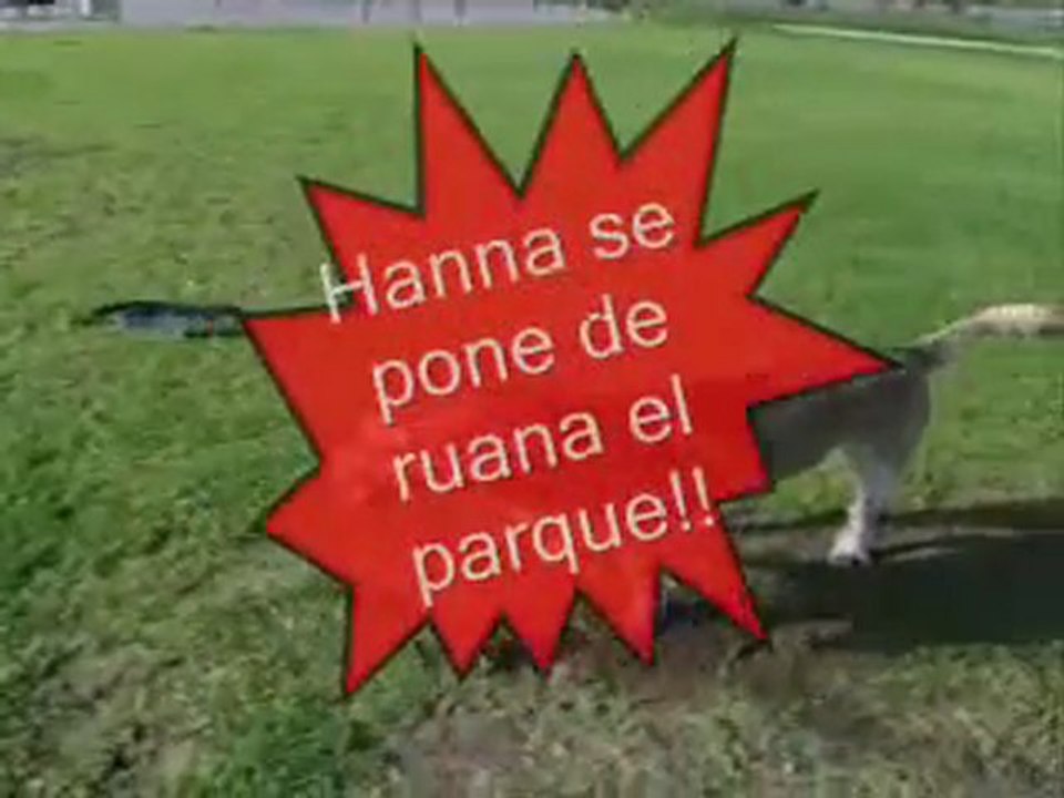 Hanna de parte de Clarita hecho por Eduardito