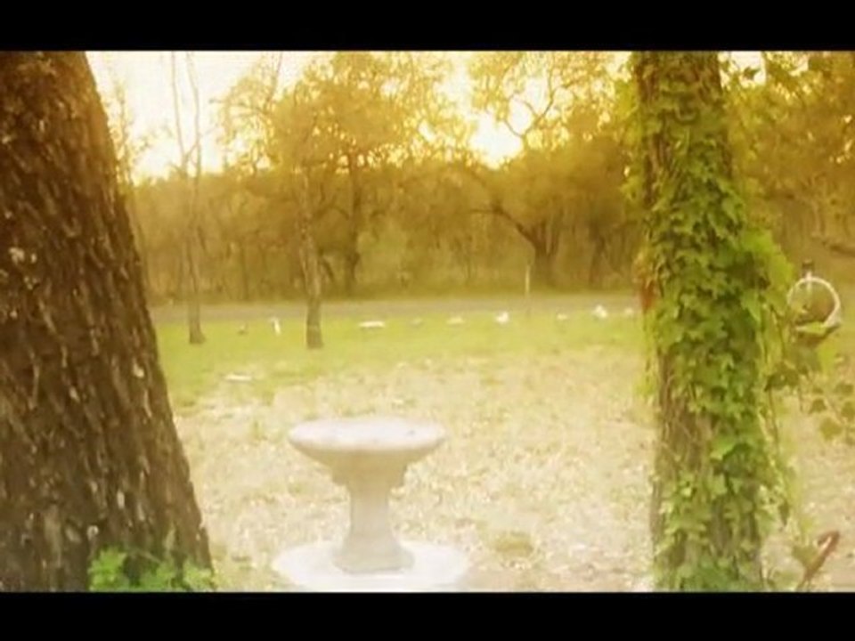 NINE INCH NAILS- GHOSTS Film FestivaL Trailer